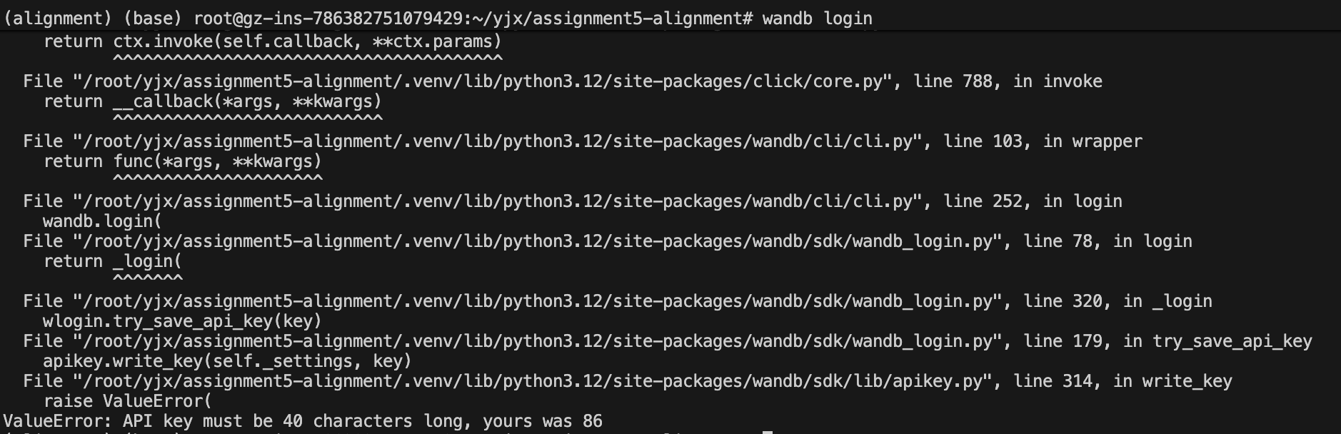 wandb error